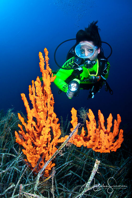 Divers Underwater Photography