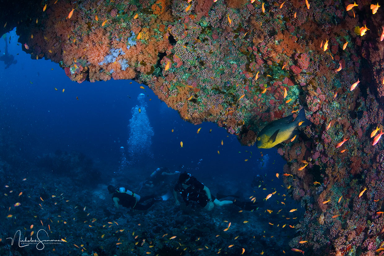 MALDIVES – Underwater Photography